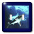 3dRose lsp_39023_2 Underwater Sharks Double toggle switch