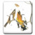3dRose LLC 3dRose LLC lsp_151964_2 Birds with Butterfly vintage - Double Toggle Switch