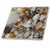 3dRose Florene Shells of Sanibel Glass Tile, 4-Inch