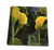 3dRose db_30445_1 Yellow Easter Calla Lily Flowers Flower Photography-Drawing Book, 8 by 8-Inch