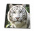 3dRose db_4845_1 White Tiger Drawing Book, 8 by 8-Inch