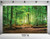 SJOLOON 9x6ft Forest Sunlight Thin Vinyl Customized Digital Printed Photography Backdrop Prop Photo Background 10516