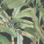 Norwall MH36535 Polynesian Leaves Wallpaper