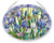 Amia Iris with Dragonflies Oval Glass Suncatcher (42551)