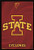 Trends International Iowa State-Logo Wall Poster, 24.25" x 35.75", Multi