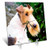 3dRose LLC Fox Terrier Desk Clock, 6 by 6-Inch