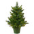Vickerman 24" Cashmere Pine Artificial Christmas Tree with 50 Warm White LED lights