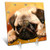 3dRose Pug Desk Clock, 6 by 6-Inch