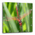 3dRose dpp_21748_2 Insects Dragonfly-Wall Clock, 13 by 13-Inch