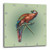 3dRose dpp_170782_2 Victorian Scarlet Macaw with Red, Blue and Green Feathers-Wall Clock, 13 by 13-Inch