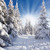 SJOLOON 10X10FT Winter Photography Backdrops Snow Covered Pine Photo Background Snow Photo Backdrops Studio Prop 11345