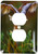 3dRose lsp_89310_6 Georgia, Pine Mtn, Callaway Gardens Barred Owl Us11 Bja0011 Jaynes Gallery 2 Plug Outlet Cover
