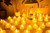 Realistic Bright Flameless LED Tea Light Candles, Bright, Flickering, Battery Powered Fake Candles, Unscented Tealights, Pack of 24