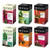 Stash Tea Fruit and Spice Tea Assortment, 6 Count