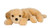Douglas Marcy Yellow Lab