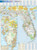 Florida State Wall Map - 22" x 30" Matte Plastic
