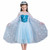 Girls Princess Costume Sequined Elsa Party Dress UP Blue