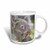 3dRose mug_178491_1 Koala Bear Looking Right Ceramic Mug, 11-Ounce