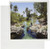 3dRose Alligator Hole, Black River Town, Jamaica, Caribbean Greg Johnston Greeting Cards, 6 x 6 Inches, Set of 6 (gc_75630_1)