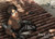 Great Eastern Attack on Titan Eren Fabric Poster