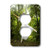 3dRose LLC lsp_10017_6 Ballerina Dancing and Leaping on Soberness National Park Jungle Like a Fairy Tale Character 2 Plug Outlet Cover