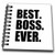 3dRose db_203240_3 Best Boss Ever Humorous Gifts for The Boss Office Humor Black Text Mini Notepad, 4" x 4"