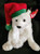 TY Beanie Baby - SNOWDRIFT the Polar Bear