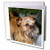 3dRose Brussels Griffon - Greeting Cards, 6 x 6 inches, set of 12 (gc_4445_2)