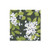 Caspari Blanc De Blancs Black Triple Ply Paper Cocktail Boxed Napkins S/40