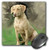 3dRose LLC 8 x 8 x 0.25 Inches Chesapeake Bay Retriever Mouse Pad (mp_4115_1)