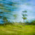 Posterazzi Costa Rica; Blurred Countryside Poster Print (17 x 11)