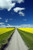 Posterazzi Country Road with Blooming Canola Fields On Both Sides Tiger Hills Manitoba Poster Print, (11 x 18)