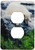 3dRose lsp_17959_6 Curious Polar Bear Cub Outlet Cover