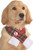 Rubie's Costume 887897-S-M Co Plaid Pet Christmas Scarf, Small/Medium