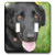3dRose lsp_206818_2 Dog Black Labrador Double Toggle Switch Multicolor