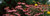 Posterazzi Eastern Purple coneflower (Echinacea purpurea) in a forest Poster Print (36 x 12)