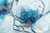 Posterazzi PDXPOD60659SMALL Flower Burst Photo Print, 24 x 18, Multi