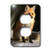 3dRose lsp_3350_6 Fox 2 Plug Outlet Cover