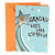 Hallmark Vida Spanish Thank You Greeting Card (Shooting Star)