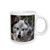 3dRose Gray Wolf Looking Straight at You Ceramic Mug, 11-Ounce