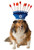 Rubie's Menorah Dog Costume