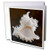 3dRose I Love Ballet - Greeting Cards, 6 x 6 inches, set of 6 (gc_52368_1)