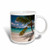 3dRose mug_134961_1 Usvi, St John. Beach, Honeymoon Baysalomon Bay Ca37 Tdr0023 Trish Drury Ceramic Mug, 11-Ounce