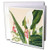 3dRose Large White Calla Lily and Pink Lathyrus Flowers - Greeting Cards, 6 x 6 inches, set of 12 (gc_175408_2)