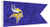 NFL Minnesota Vikings Boat/Golf Cart Flag