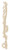 DIY Wooden Rocket Blast Growth Chart