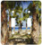 3dRose lsp_80856_2"Palms Line Myrtle Beach South Carolina Double Toggle Switch