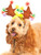 Rubie's Light Up Reindeer Antlers Dog Accessory, Small/Medium