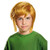 Disguise Link Child Wig Costume