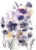 Posterazzi PDXSV1616SMALL Purple Flower Majesty Photo Print, 18 x 24, Multi